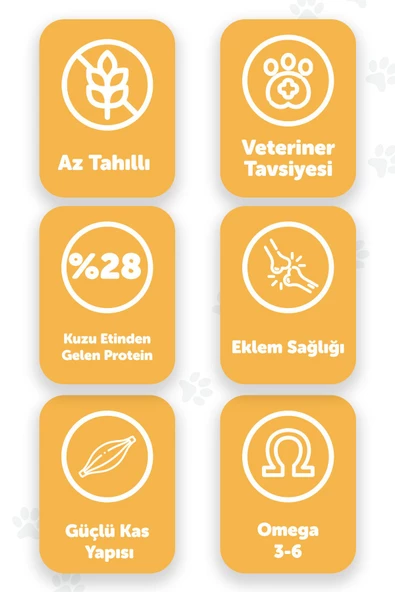 Pawgo Premier Perfection 2 Kg Kuzu Etli Yetişkin Köpek Maması - 2