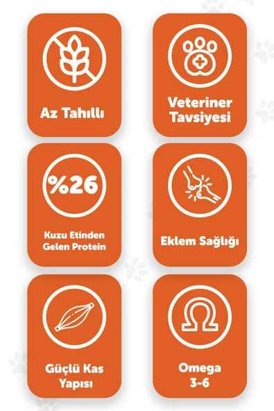 Pawgo Mini Majesty 2 Kg Küçük Irk Kuzu Etli Premium Yetişkin Köpek Maması - 2