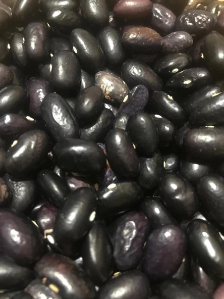 YERLİ BEYAZ TURŞULUK UZUN-ENLİ SIRIK FASULYE TOHUMU 100 GR (MOR-UZUN TOHUM) ürün görseli 1