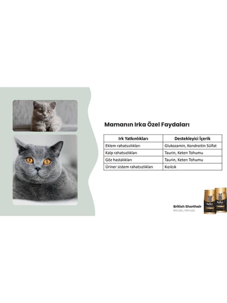Reflex Plus British Shorthair Yetişkin Kedi Maması 1,5 kg - 3