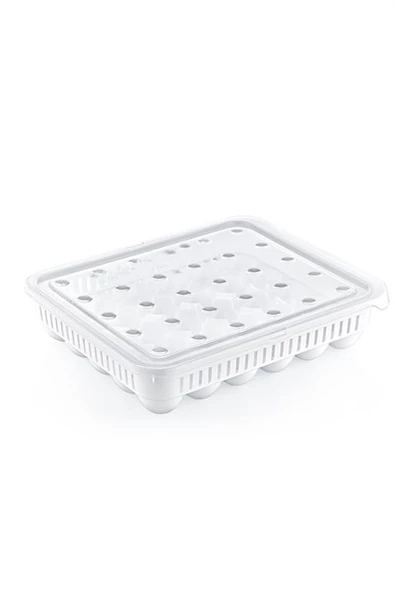 30lu Yumurta Saklama Kabı - 6