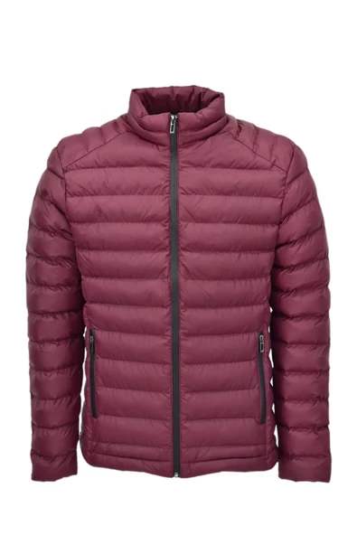 Erkek Spor Şişme Mont 3078 BGL-ST04002 - Resim 2