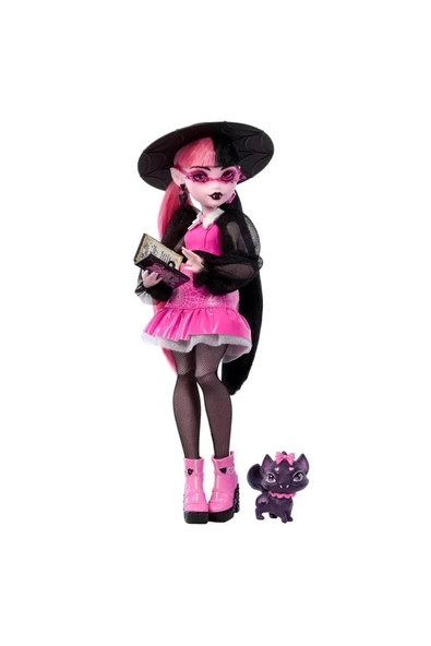 MONSTER HIGH ANA KARAKTER BEBEKLERİ MATE-HPD53 HRP64 - Resim 2