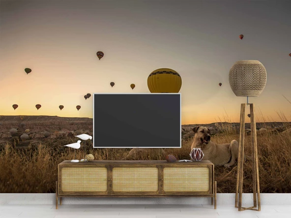 Günbatımı ve Sıcak Hava Balon Manzaralı Duvar Kağıdı - Resim 3