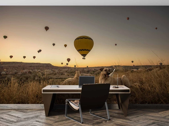 Günbatımı ve Sıcak Hava Balon Manzaralı Duvar Kağıdı - Resim 4