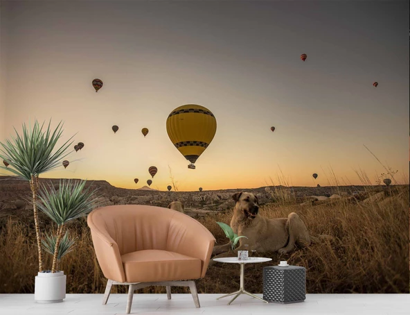 Günbatımı ve Sıcak Hava Balon Manzaralı Duvar Kağıdı - Resim 6