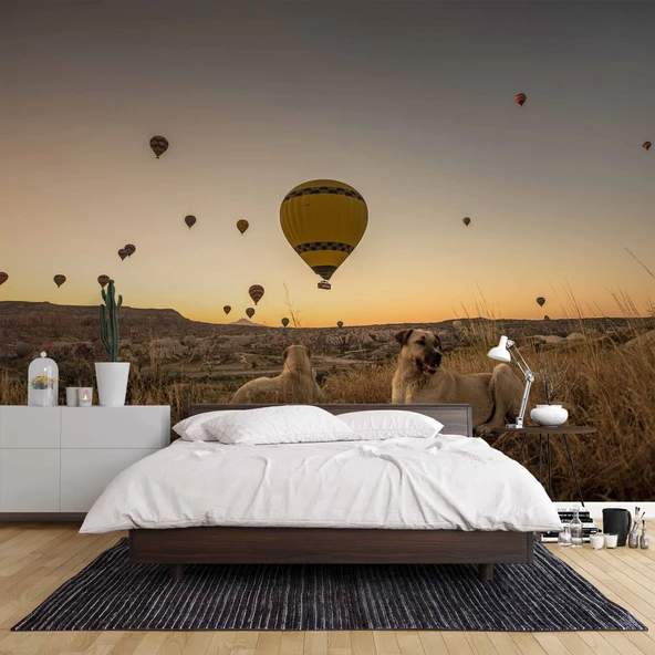 Günbatımı ve Sıcak Hava Balon Manzaralı Duvar Kağıdı - Resim 2