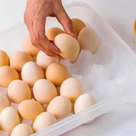 30lu Yumurta Saklama Kabı - 4
