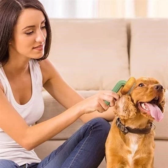 Plastik Yeşil Evcil Hayvan Bakım  Pet Fırçası Çok Amaçlı Pet Fırçası Yeşil - 4