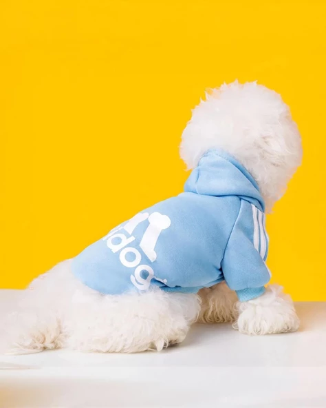 Baby Blue Adidog Kapşonlu Sweatshirt Köpek Kazağı - 2