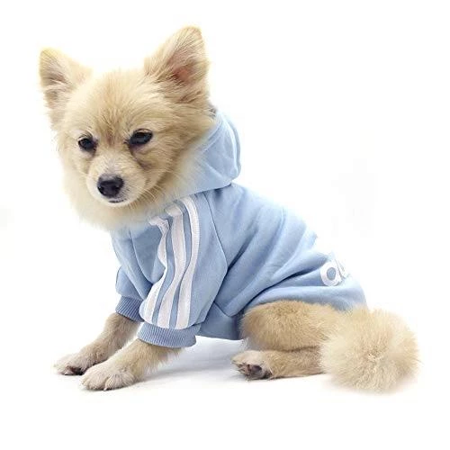 Baby Blue Adidog Kapşonlu Sweatshirt Köpek Kazağı - 5