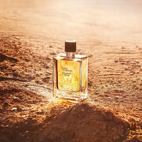 Hermes Terre D'Hermès Eau Intense Vétiver, Eau De Parfum 50ML - 3