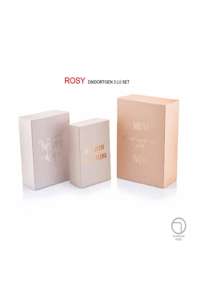 Gıpta Rosy Dikdörtgen 3'Lü Hediye Kutusu Set 4-Bx20610-2161