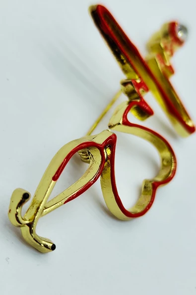 Kalp ve EKG Desenli Stetoskop Broş - Resim 2