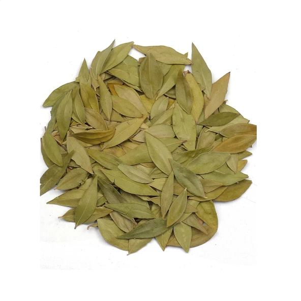 Mersin Yaprağı Myrtus communis 500 gr, Derya Eren - 2