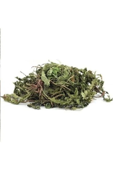 Karahindiba Kurutulmuş Bitki (Taraxacum officinale) 100 gr, Derya Eren - 4