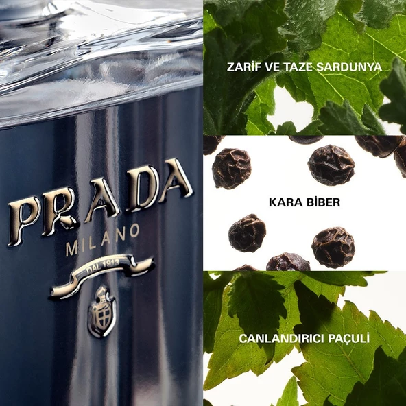 Prada L'Homme Prada EDT 100ML Erkek Parfümü - 2
