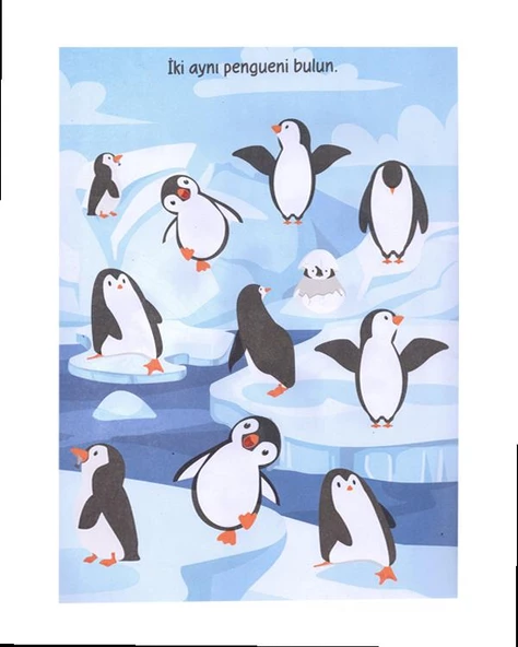 Hayvanlarla Aktiviteler Yumurcak Yayınları - Resim 2