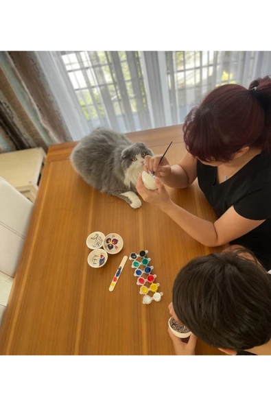 sharpart sharp&art KASELER ÇİNİ BOYAMA VE SANATSAL EL İŞLEMELERİ HOBİ SETİ - 2