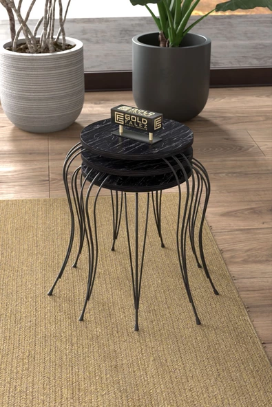 Gold Falez ZİGON SEHPA LÜKENS BENDİR - Resim 3