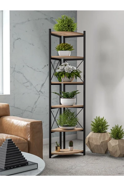 Gold Falez KİTAPLIK ÇİÇEKLİK 6 RAFLI CEVİZ - 2