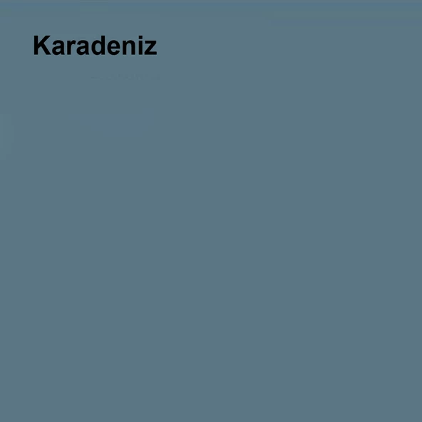 Marshall Antibakteriyel Hijyen İpek Mat İç Cephe Boyası Karadeniz 15 Lt (20 Kg) - 2