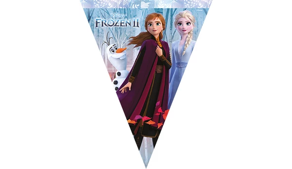 Frozen Temalı Bayrak Flama