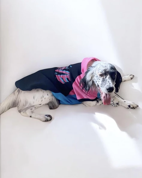 Move Extra Kapşonlu Sweatshirt Orta ve Büyük Irklar İçin - 2