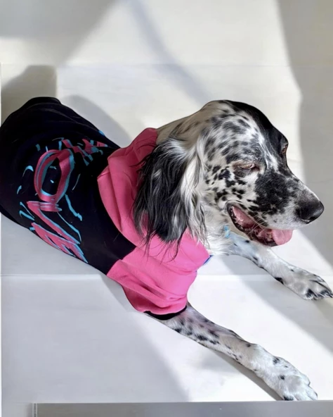 Move Extra Kapşonlu Sweatshirt Orta ve Büyük Irklar İçin - 5