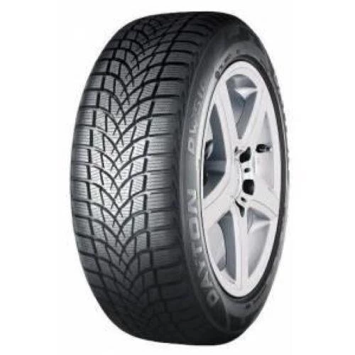 Dayton 205/55R16 91H DW510E 2024 Kış Lastiği - 2