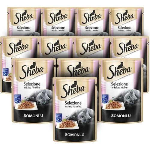 Sheba Somon Etli Pouch Kedi Ödülü 85 Gr x 12 Li Paket