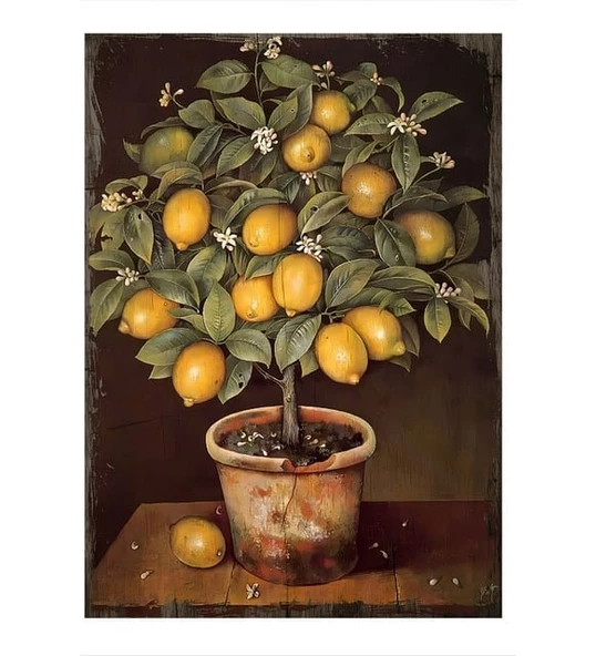 Hediyemi Saksıda Limon Ağacı 18 x 27 Cm MDF Tablo (Çift Taraflı Bantlı )