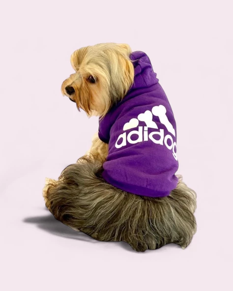 Mor Adidog Kapşonlu Sweatshirt Köpek Kazağı