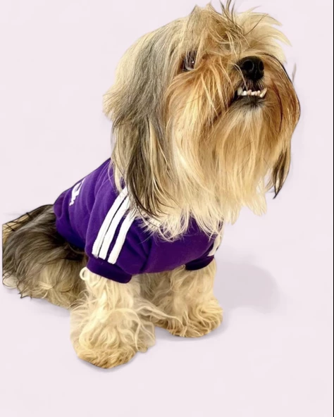Mor Adidog Kapşonlu Sweatshirt Köpek Kazağı - 5