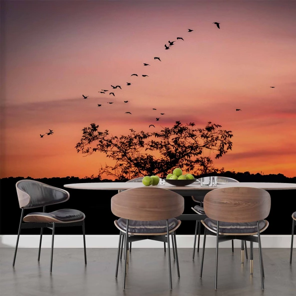 Günbatımı Ağaç ve Kuş Gölgesi Manzaralı Duvar Kağıdı - Resim 5