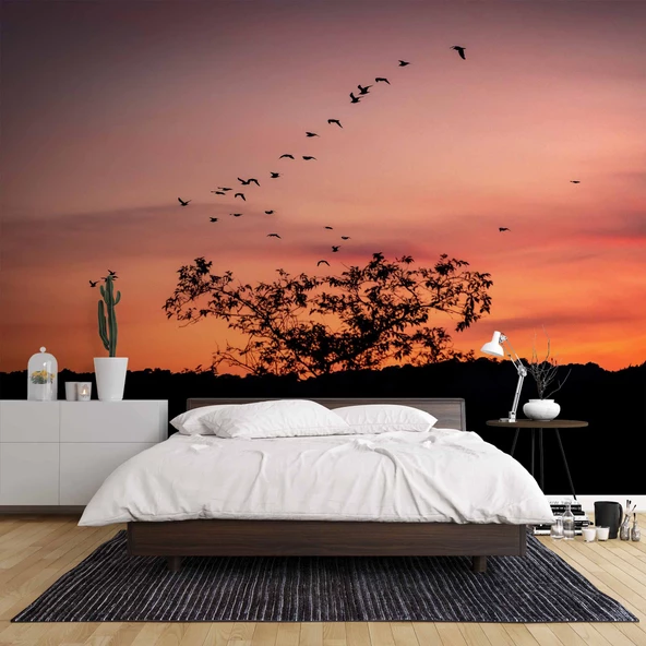 Günbatımı Ağaç ve Kuş Gölgesi Manzaralı Duvar Kağıdı - Resim 2