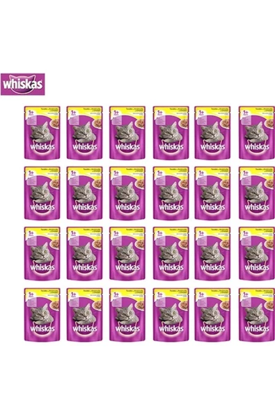 Whiskas Pouch Tavuklu Kedi Maması 100g 24'lü