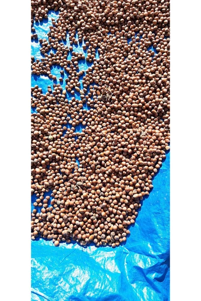 KABUKLU FINDIK--2,5KĞ - 2