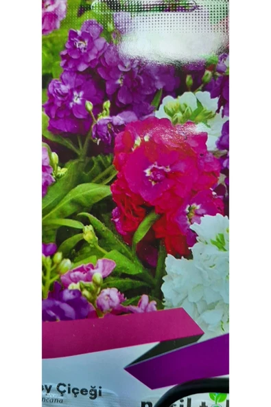 ŞEBBOY ÇİÇEĞİ TOHUMU ürün görseli 1