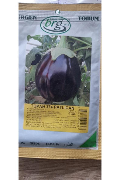KOLUKISA TARIM TOPAN PATLICAN TOHUMU--25GR - 2