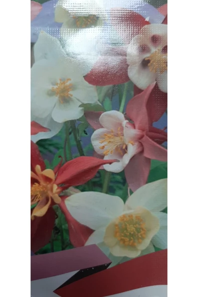 KOLUKISA TARIM YER KÜPELİSİ ÇİÇEK TOHUMU ürün görseli 1