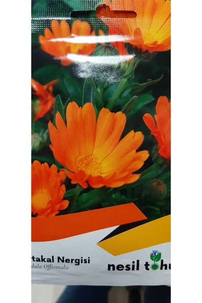 NERGİS ÇİÇEĞİ TOHUMU - 3