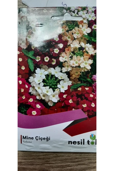 KOLUKISA TARIM MİNE ÇİÇEĞİ TOHUMU - Resim 3