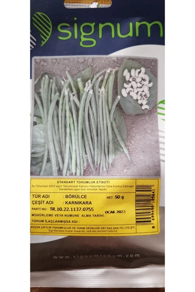 KOLUKISA TARIM BÖRÜLCE TOHUMU - Resim 3