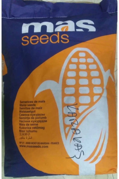 Mısır Tohumu Süt Mısır 500 gr Mas Yaklaşık 1500 Adet - 2