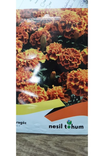 KOLUKISA TARIM KADİFE ÇİÇEK TOHUMU - 4