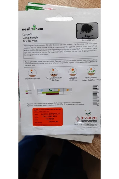 ŞEBBOY ÇİÇEĞİ TOHUMU - Resim 3