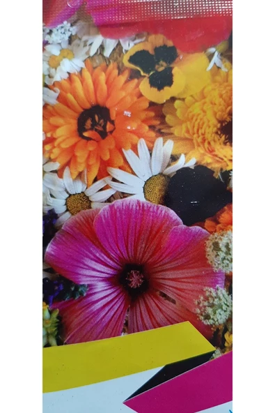 KOLUKISA TARIM KARIŞIK ÇİÇEK TOHUMU - Resim 2