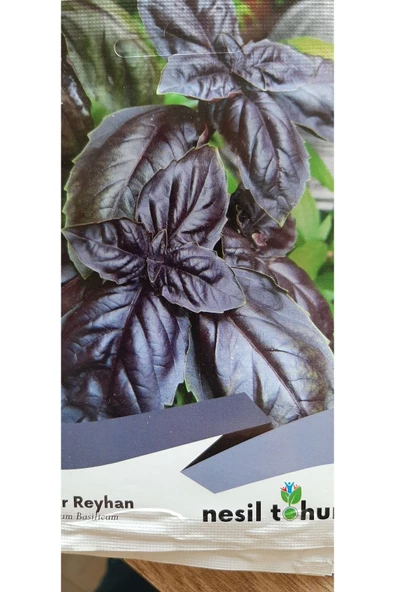 MOR REYHAN - Resim 2