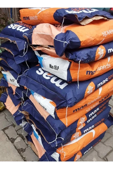 Mısır Tohumu Süt Mısır 500 gr Mas Yaklaşık 1500 Adet - 5